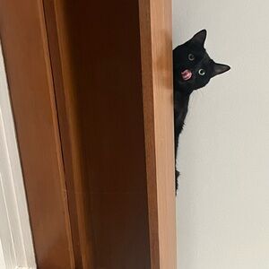 Going on vacation!!! For the month of July:)